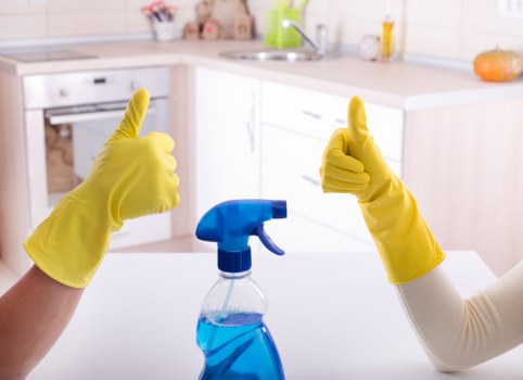 Professional Brent carpet cleaners refreshing a living room carpet