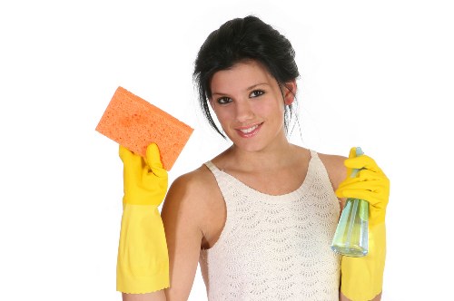 Customer raising a carpet cleaning complaint for review
