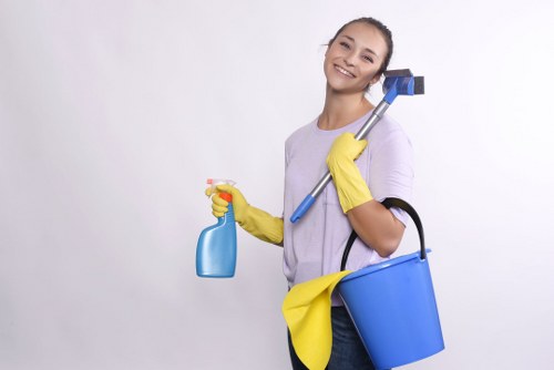Expert upholstery stain cleaning in Brent