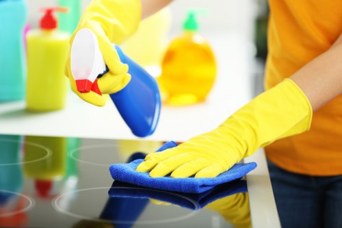 Professional carpet cleaning appointment details and booking confirmation
