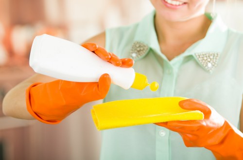 Carpet and sofa stain treatment service in Brent