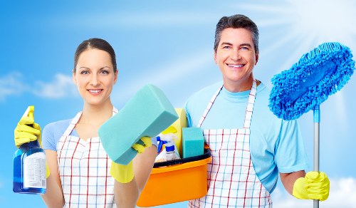 Professional pet stain odour removal service in Brent